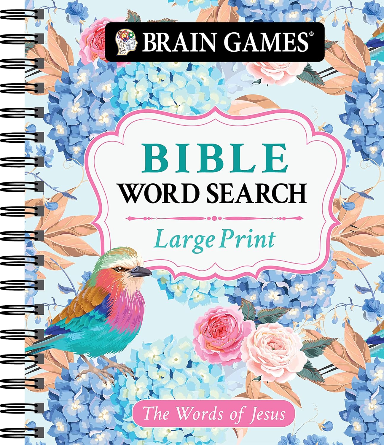 Brain Games - Large Print Bible Word Search: The Words of Jesus (Brain Games - Bible)