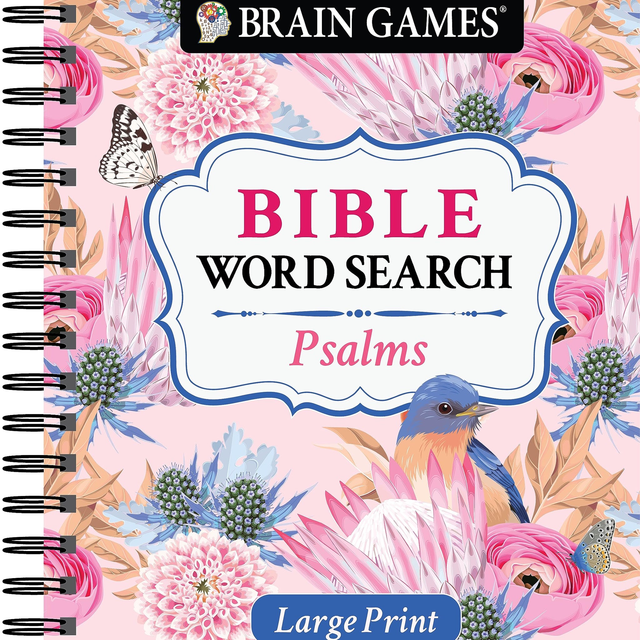 Brain Games - Large Print Bible Word Search: Psalms (Brain Games - Bible)